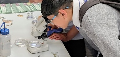 [Please Upload An Image Of Your Activity.] PXL 20250617 101345816~2