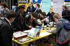 210 Theroyalen Activityimage2 2.Aroundtheentomologytablescreditbigbangsciencefair